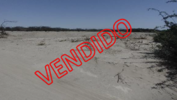 T06-PREDIO RUSTICO SECTOR PAJONAL ALTO, LOTE 92, CON U.C. 10715 ( ICA / NAZCA / PAJONAL ALTO)