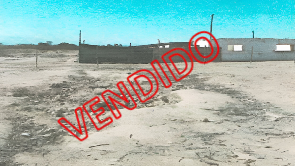 T24-Lote N°01, Sector Comatrana Rinconada de Huacachina - ICA. (ICA)