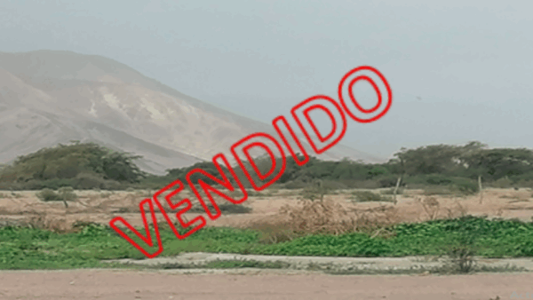 T04-PREDIO RUSTICO SECTOR PAJONAL ALTO, LOTE 100, CON U.C. 10704 (ICA / NAZCA / PAJONAL ALTO)