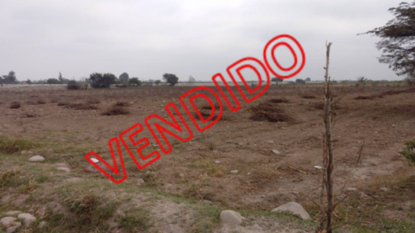 T02-PREDIO RUSTICO SECTOR SAN CARLOS, PARCELA N° 098-A, C.P./PARC. 098-A, CON U.C. 08006 (ICA / CHINCHA / EL CARMEN)