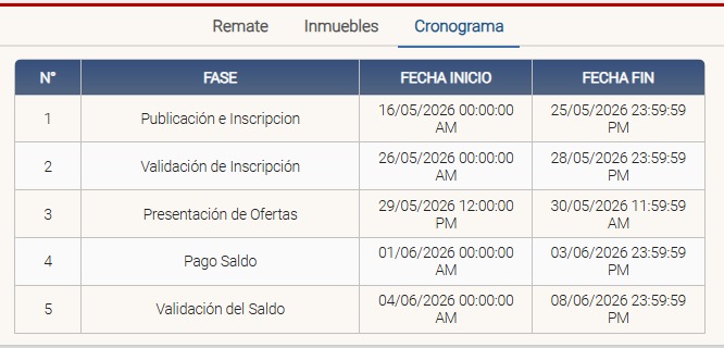 Cronograma